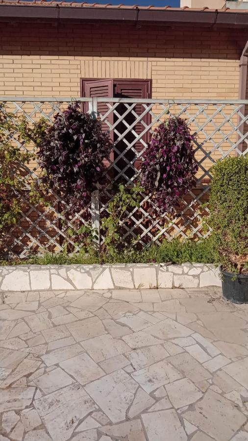 Rosilienza Suites Private Spa, Patio Garden Free Trasfer To & From Airport Fiumicino Exterior foto